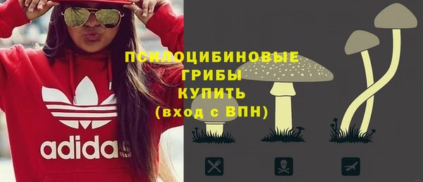 гидра Пролетарск