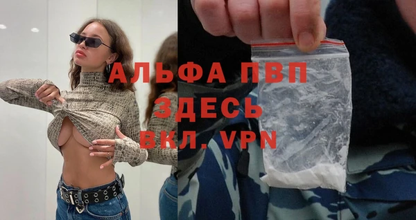 стаф Покровск