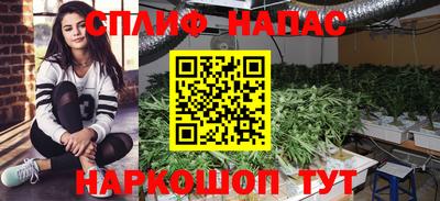 МДПВ Абинск