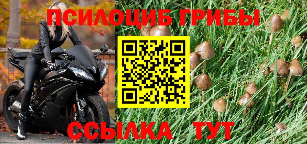 Галлюциногенные грибы Cubensis Александров