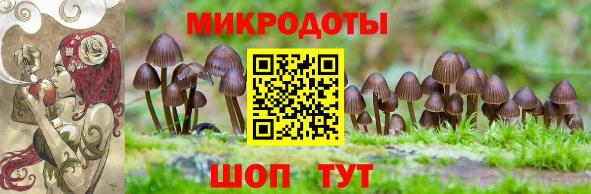 Галлюциногенные грибы мухоморы  Вход с VPN  Александров 