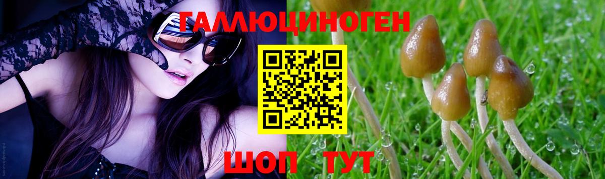 Галлюциногенные грибы Cubensis Александров